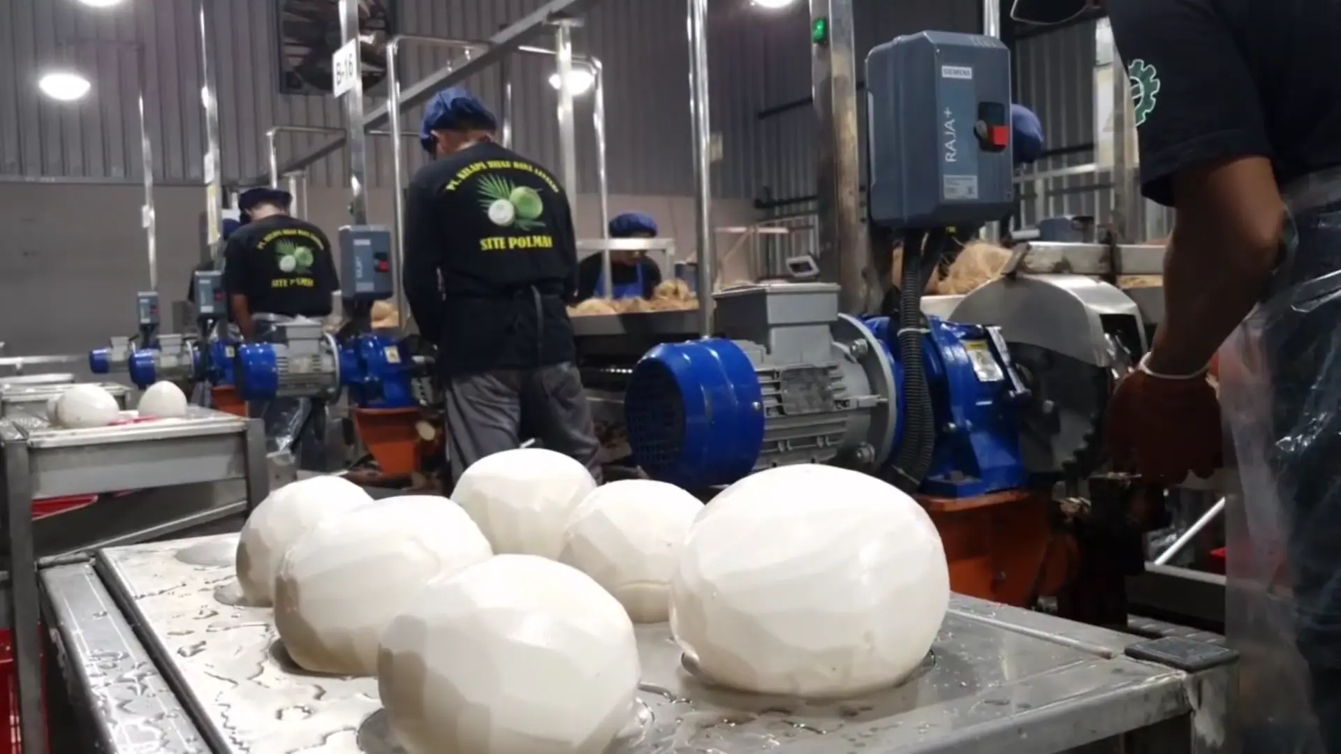 Daging kelapa putih bersih siap diolah