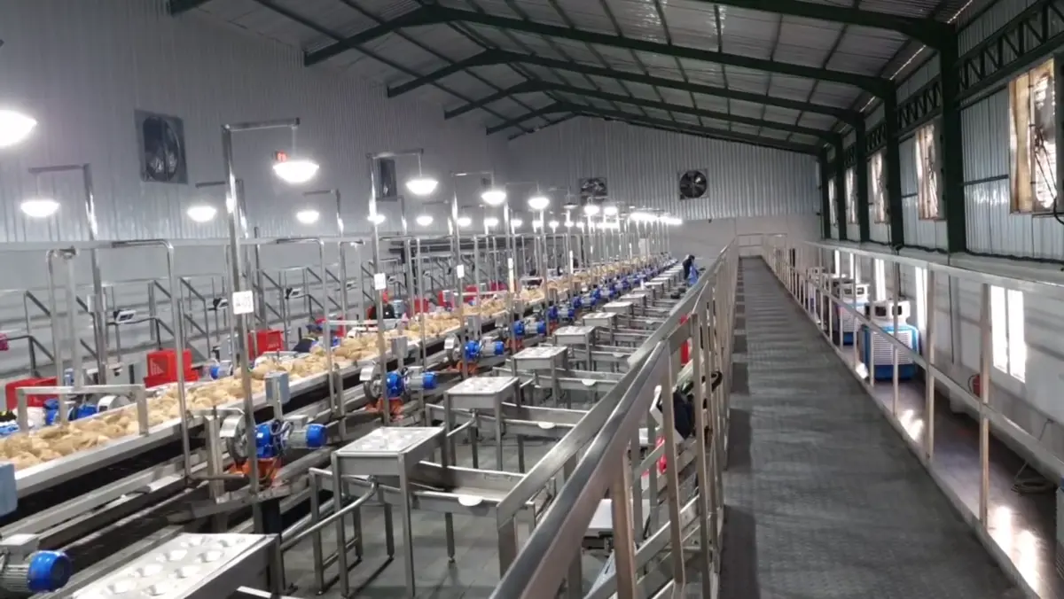 Lini produksi pengolahan kelapa PT Kelapa Hijau Bina Lestari