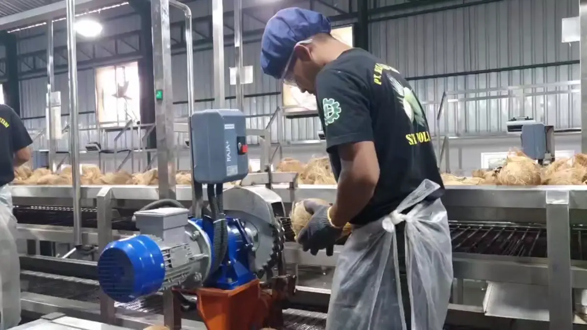 Pekerja mengupas sabut kelapa dengan mesin